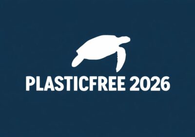 Comuni Plastic Free 2026: il riconoscimento a Monopoli, Mola di Bari, Gioia del Colle e Castellaneta