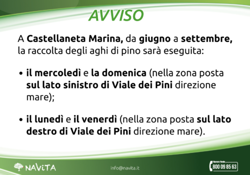 Raccolta Aghi di Pino Castellaneta
